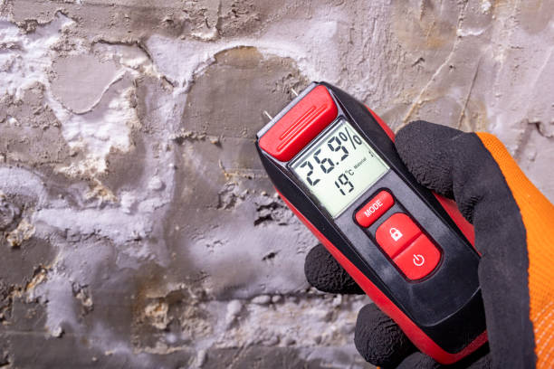 Best Water Damage Restoration  in Moenkopi, AZ