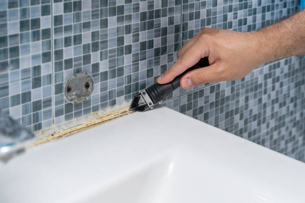 Best Mold Testing  in Moenkopi, AZ