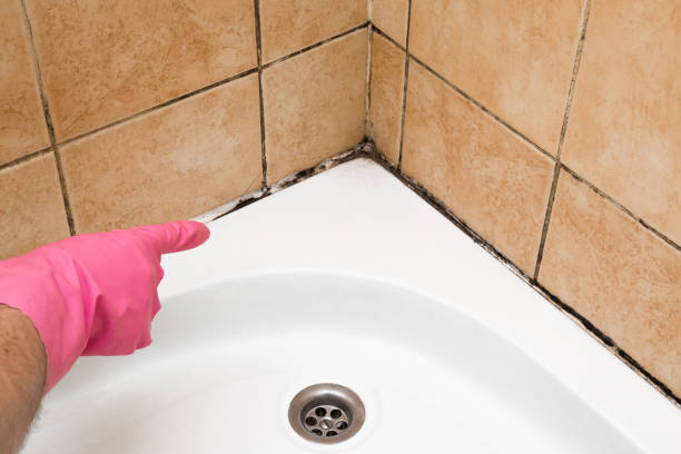 Best Crawl Space Mold Removal  in Moenkopi, AZ